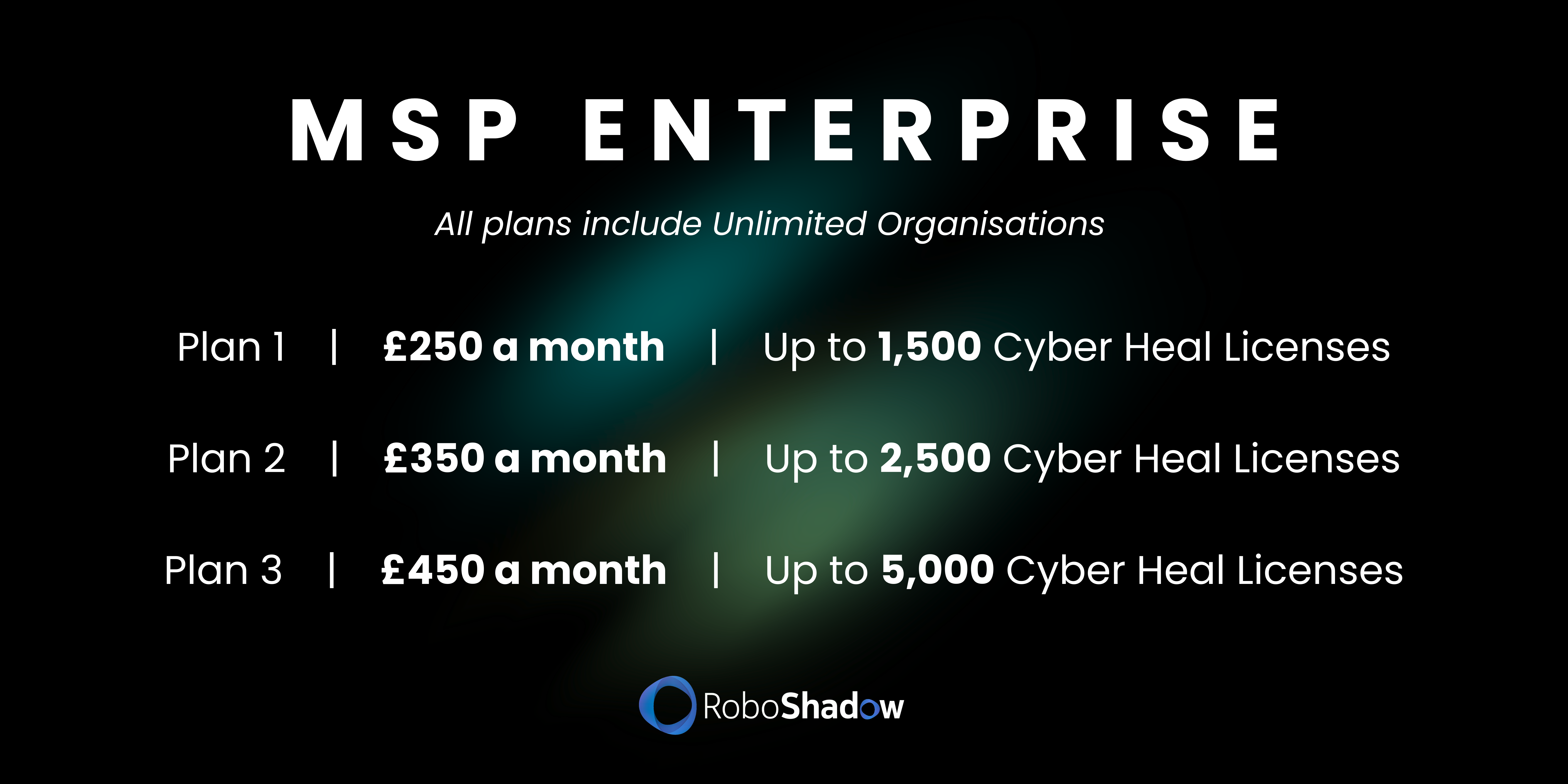 MSP Enterprise Pricing (2)